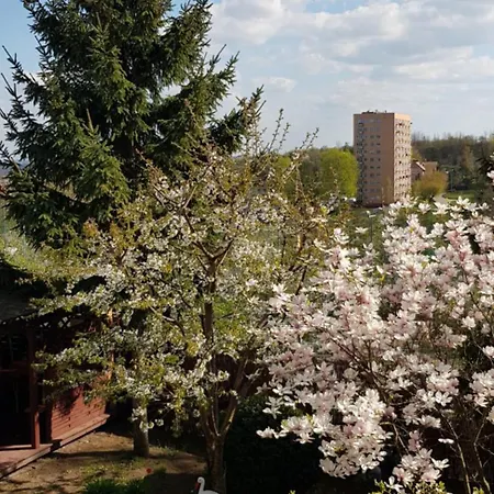 Hostel Wynajem Pokoi Barka Zdzislaw Barbuzynski Orunia