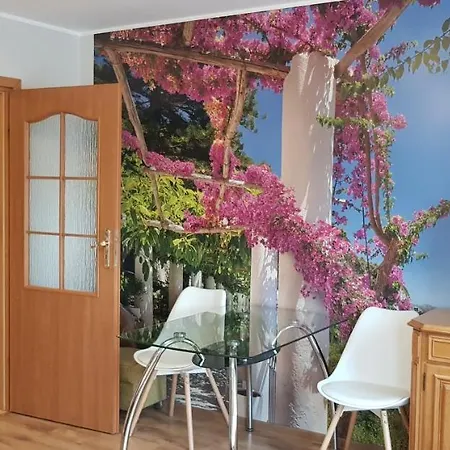 Hostel Wynajem Pokoi Barka Zdzislaw Barbuzynski